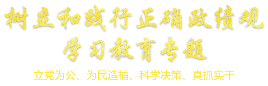 樹立和踐行正確政績觀學習教育專題